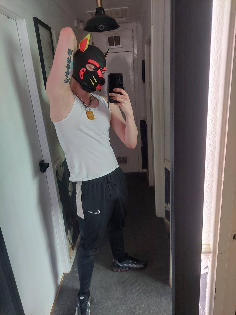 Pup Jacques tweet media