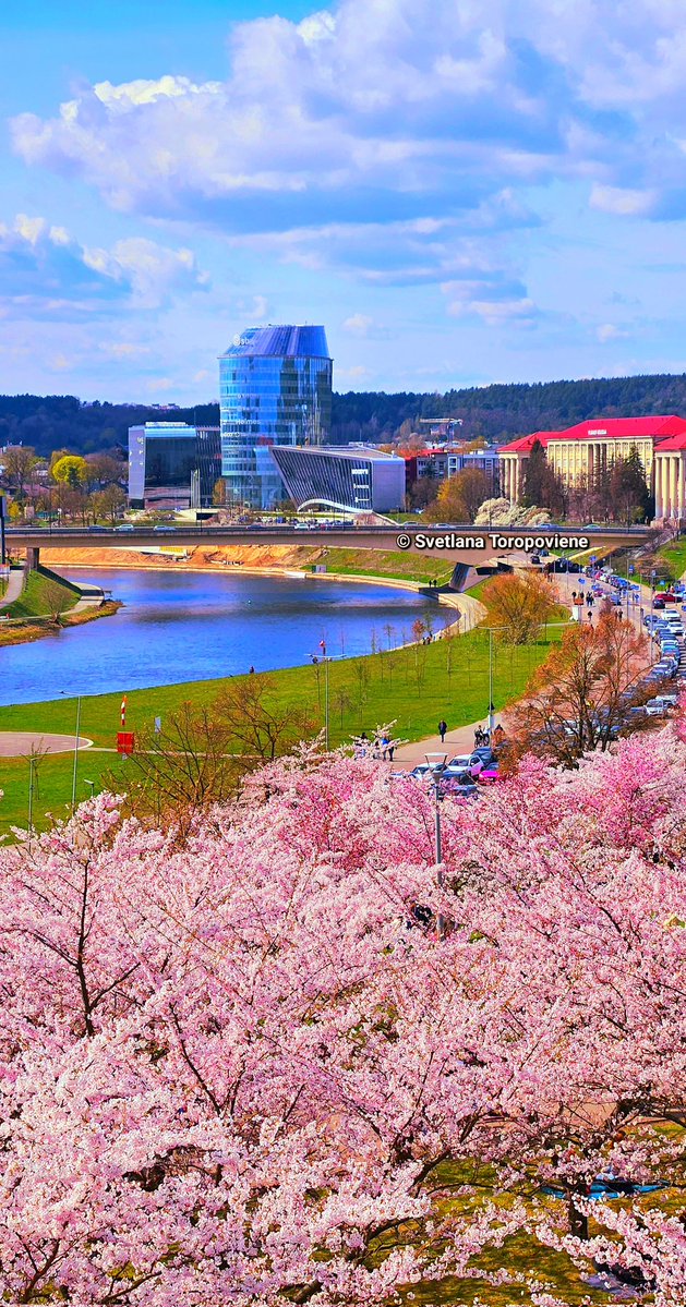 LanaToro21's tweet image. #Photobyme📷 #Yesterdayshots #Vilnius #Lithuania 

Whatever weather is behind the window, let your mood always be sunny, let your heart becomes a blossoming garden 🌸❤️🌸
