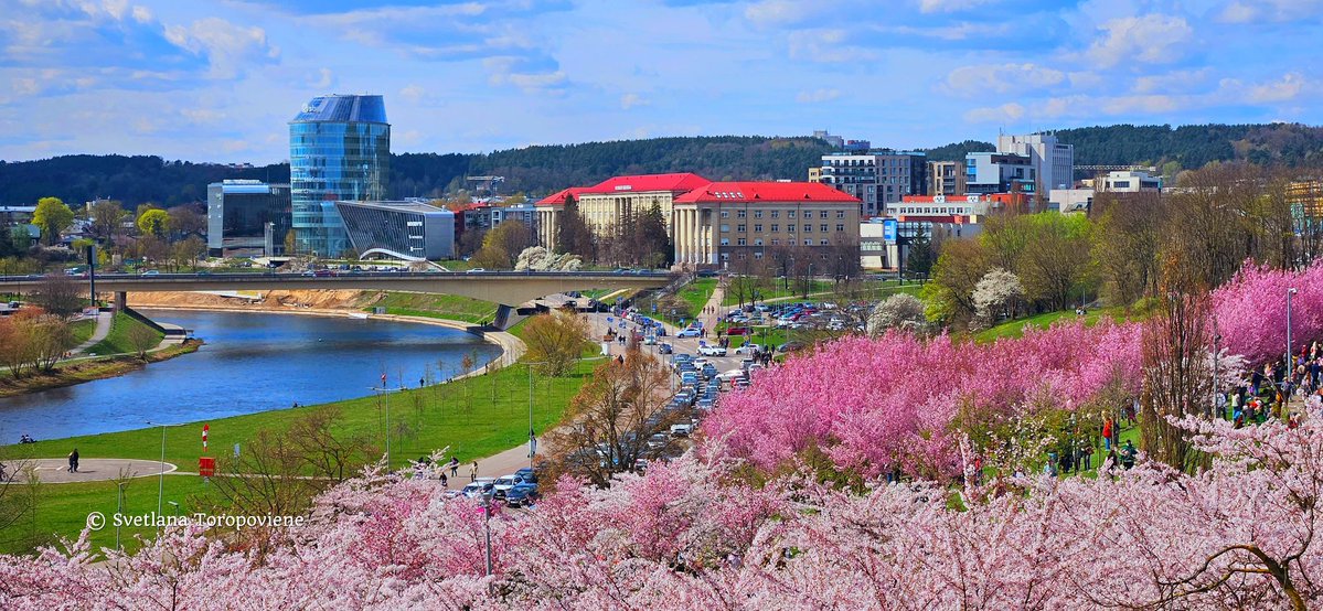 LanaToro21's tweet image. #Photobyme📷 #Yesterdayshots #Vilnius #Lithuania 

Whatever weather is behind the window, let your mood always be sunny, let your heart becomes a blossoming garden 🌸❤️🌸