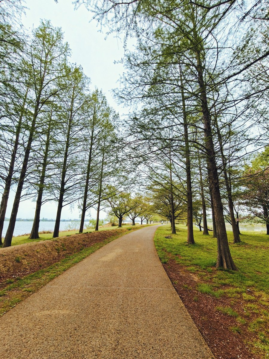 わたる tweet media