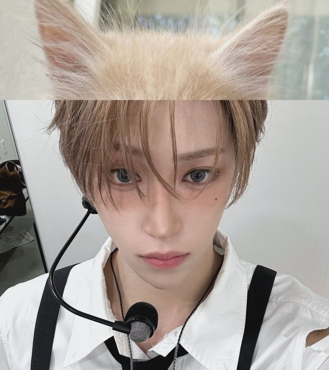 rui tweet media