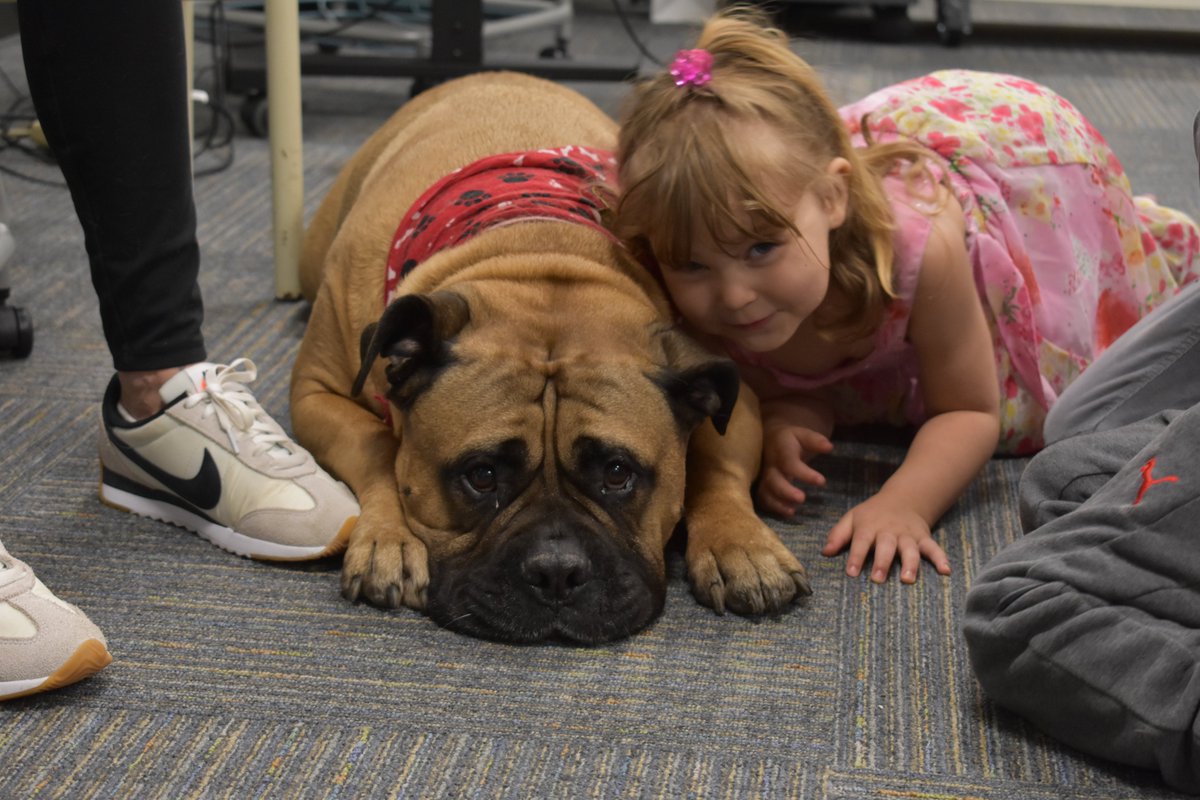 Benjamin District 25 tweet media