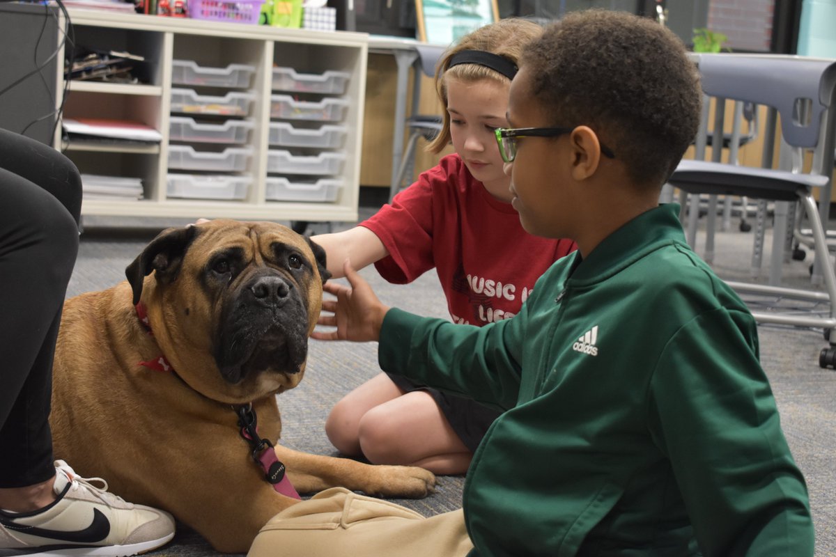 Benjamin District 25 tweet media