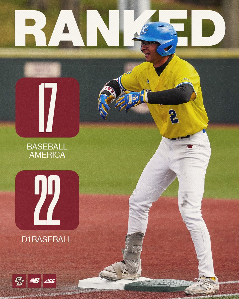 BCBirdBall's tweet photo. 🦅 on the rise https://t.co/dxuumAi8e9