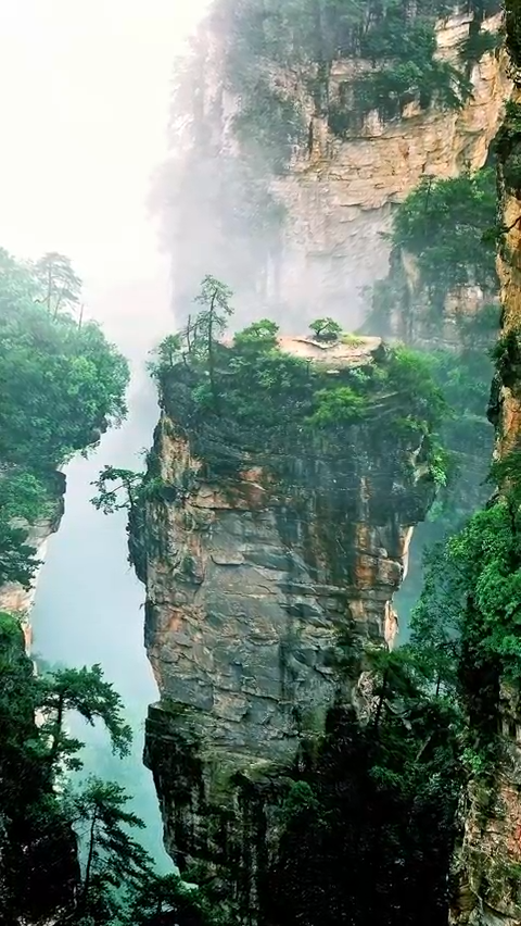 PostcardViewsHQ's tweet image. China: Hidden Peaks

mystical mountains and bridges that touch the clouds

exploring the grand scales of a legendary landscape 🏮⛰️

#china #zhangjiajie #travelgram #culturalheritage