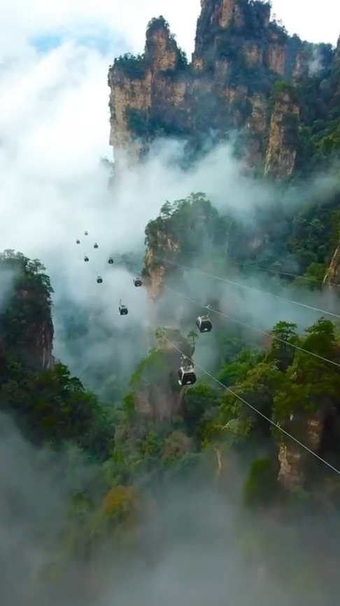 PostcardViewsHQ's tweet image. China: Hidden Peaks

mystical mountains and bridges that touch the clouds

exploring the grand scales of a legendary landscape 🏮⛰️

#china #zhangjiajie #travelgram #culturalheritage