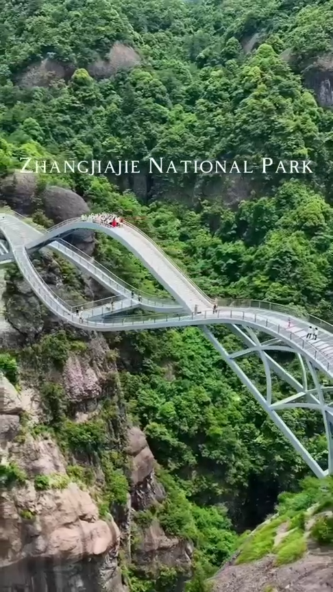 PostcardViewsHQ's tweet image. China: Hidden Peaks

mystical mountains and bridges that touch the clouds

exploring the grand scales of a legendary landscape 🏮⛰️

#china #zhangjiajie #travelgram #culturalheritage