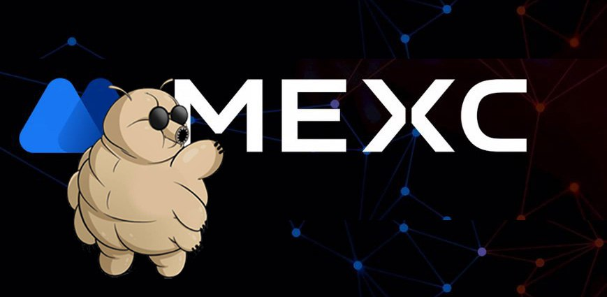 PatiencePrints.eth 🌨️ tweet media