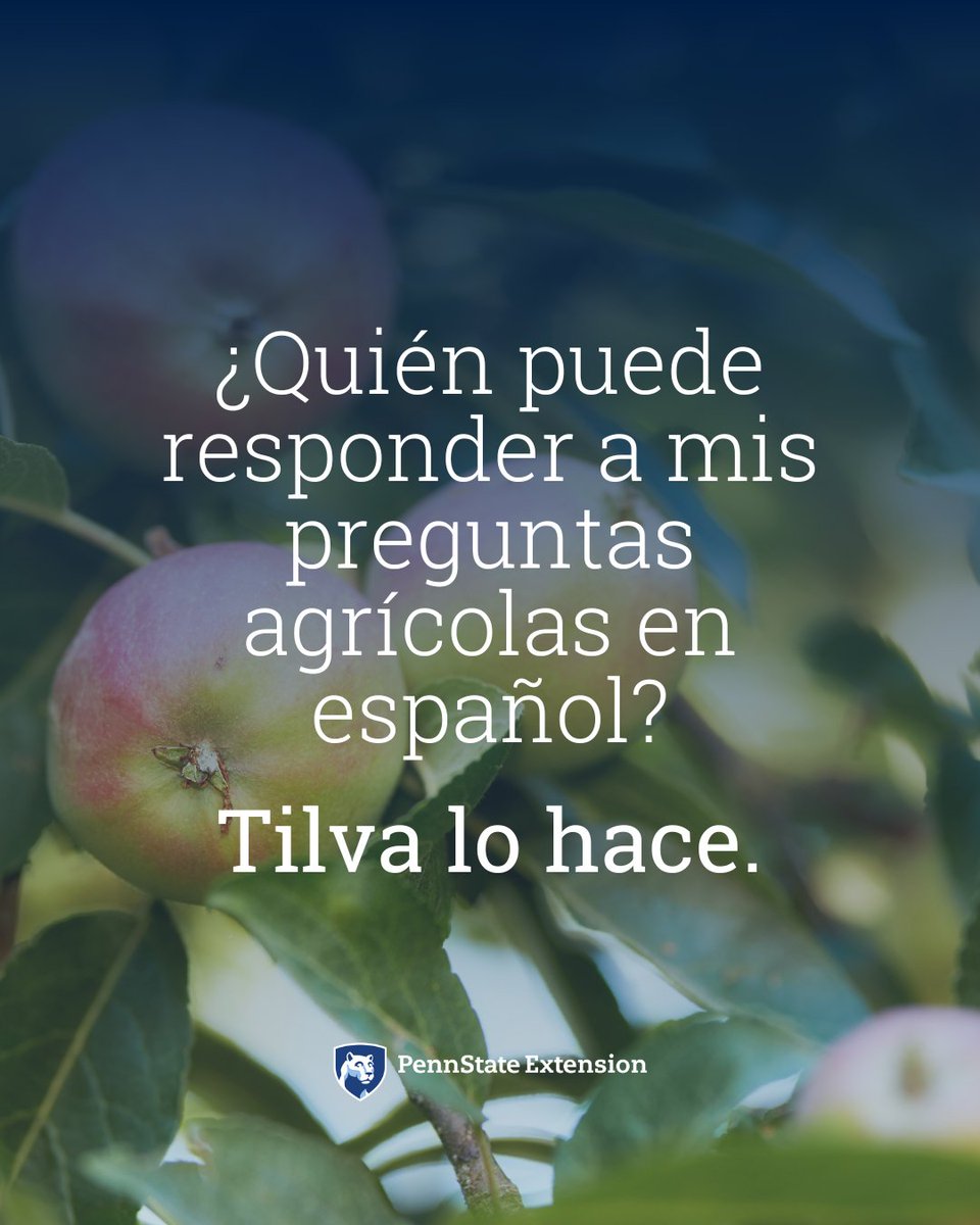psuextension's tweet photo. Need answers in Spanish? Tilva can help with your ag-related questions.

¿Necesita respuestas sobre agricultura en español? Tilva, la asistente de Penn State Extension, puede ayudarle con sus preguntas relacionadas con la agricultura en español.

👉 https://t.co/QQNjOw69ue https://t.co/kic6LO3CI7