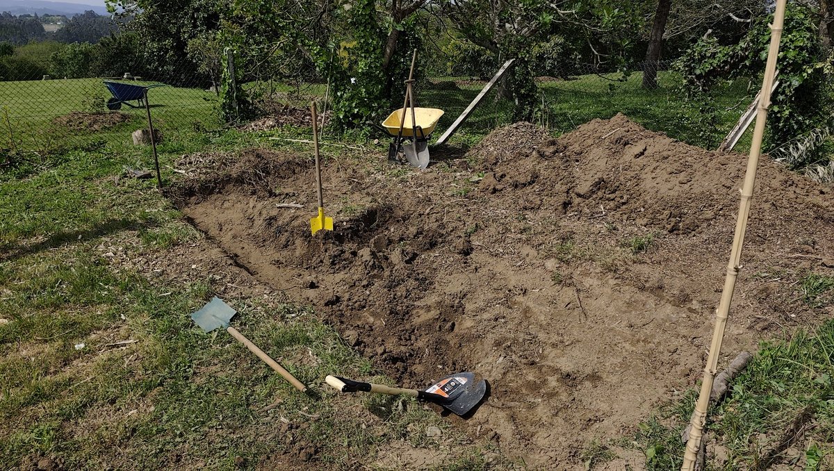 manü 🥬 tweet media