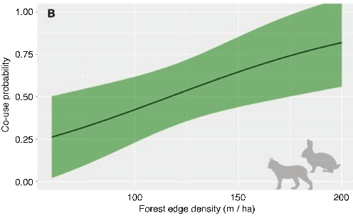 WorldLagomorph's tweet photo. Cottontails shift activity to avoid bobcats in restored southern grasslands but still overlap enough to remain prey. Restoration boosts cottontails while shaping predator tracking and timing.
https://t.co/TN5mxIvlij https://t.co/aiHAJadpod
