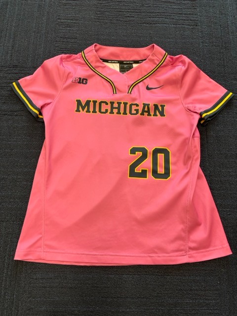 Michigan Softball tweet media