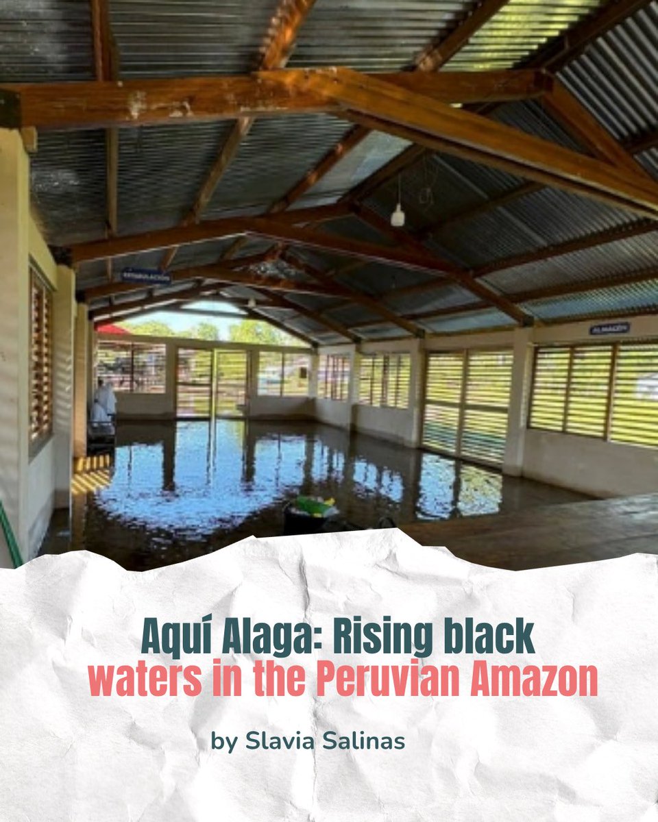 Loss and Damage Youth Coalition tweet media