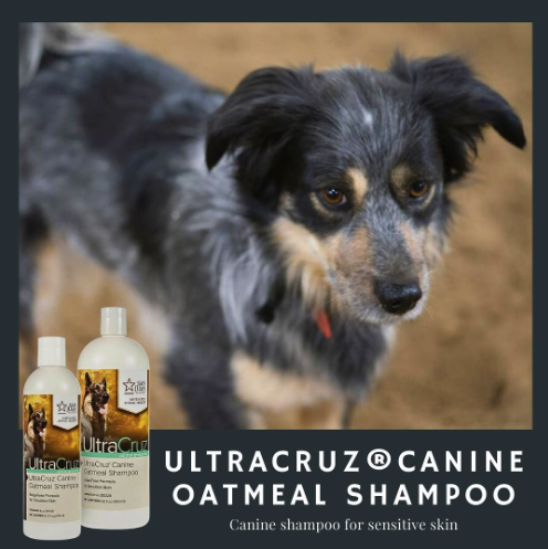 SCA_Health's tweet image. Keep your pup fresh and clean🐶

UltraCruz Canine Oatmeal Shampoo gently soothes dry, irritated skin while leaving coats soft and shiny.  Because your dog deserves the best!

#DogCare #HealthySkin #UltraCruz #Canine #Doggrooming