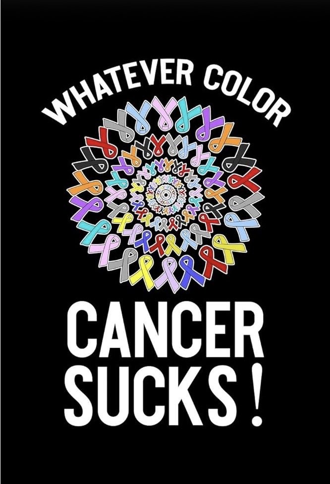 Amplify Veracity tweet media