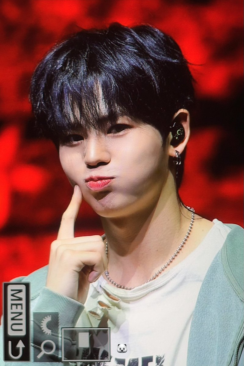 🐻‍❄️ tweet media