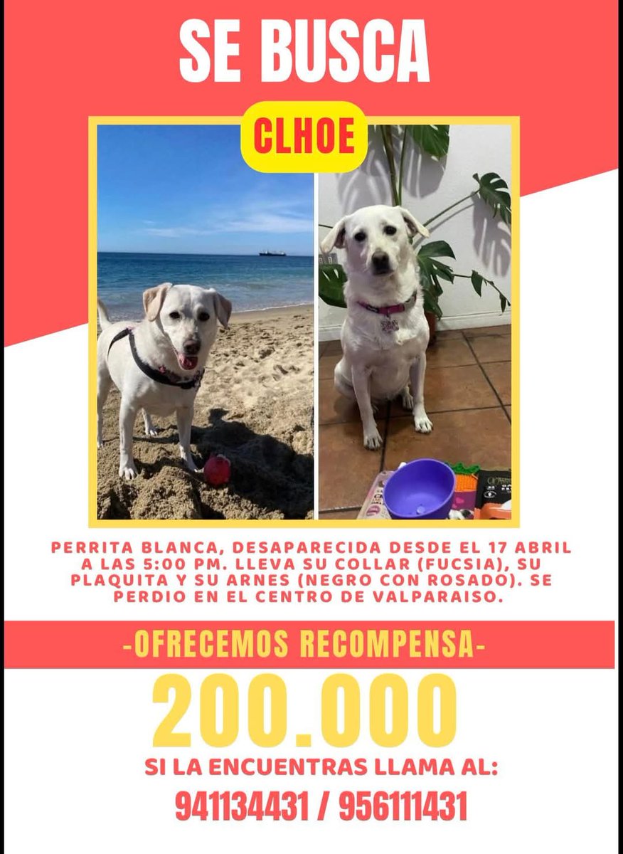 Brenda Etchegaray tweet media