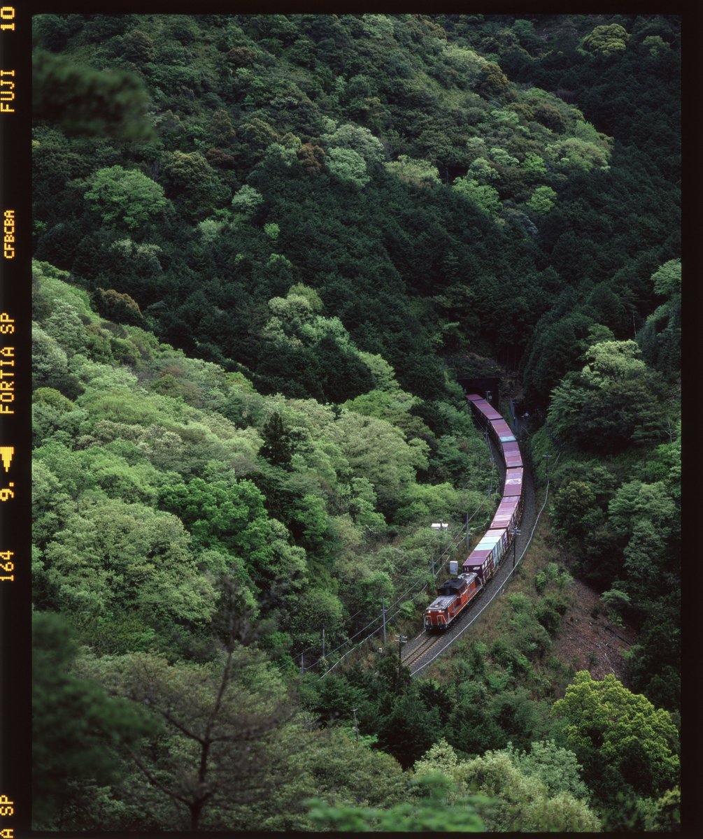 ポンの助ポン太郎 tweet media