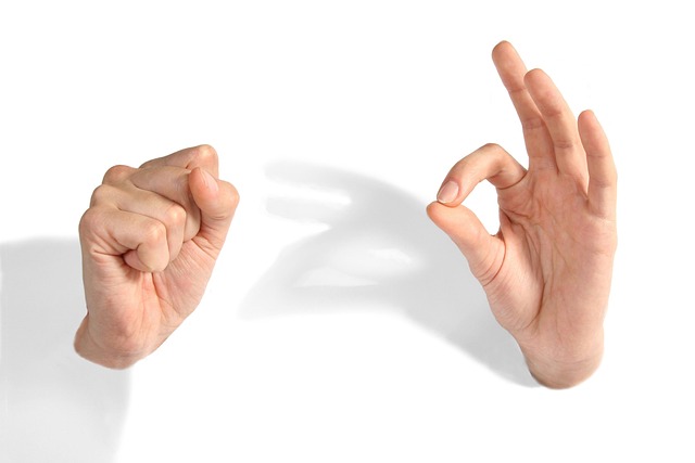 Chase Ayrton tweet media