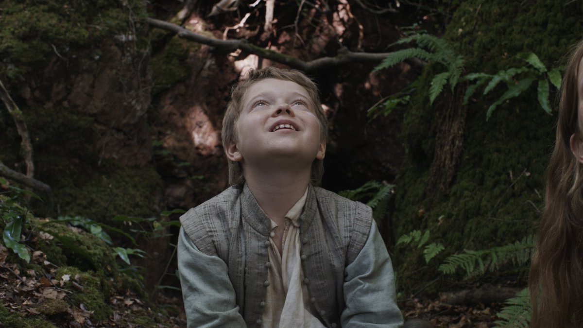 Focus Features tweet media