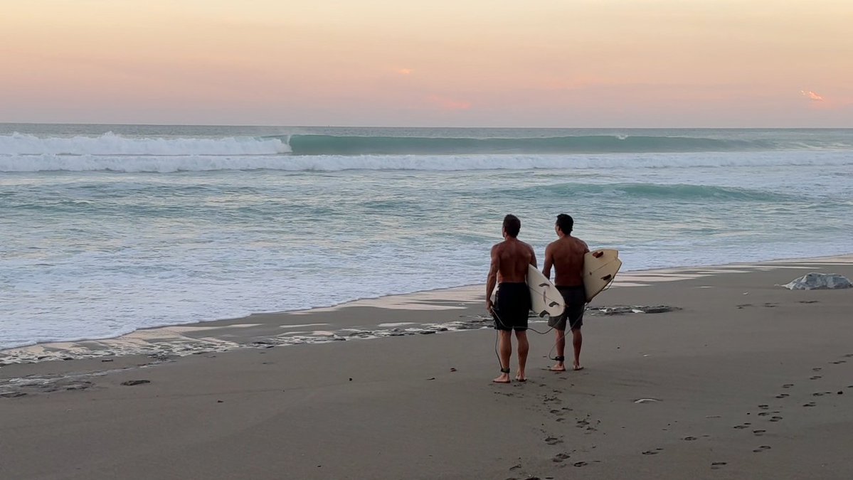 Paul Saladino, MD tweet media