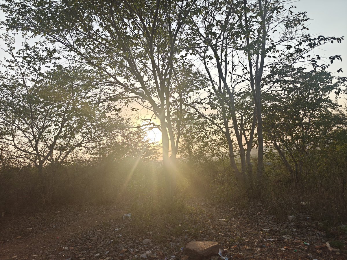satwikgupta47's tweet image. Went to cancer hills today and clicked these random photos 
Sunlight from behind the trees directly entering my camera 📸 #OnePlus #Photobyme #Photography101 #photography