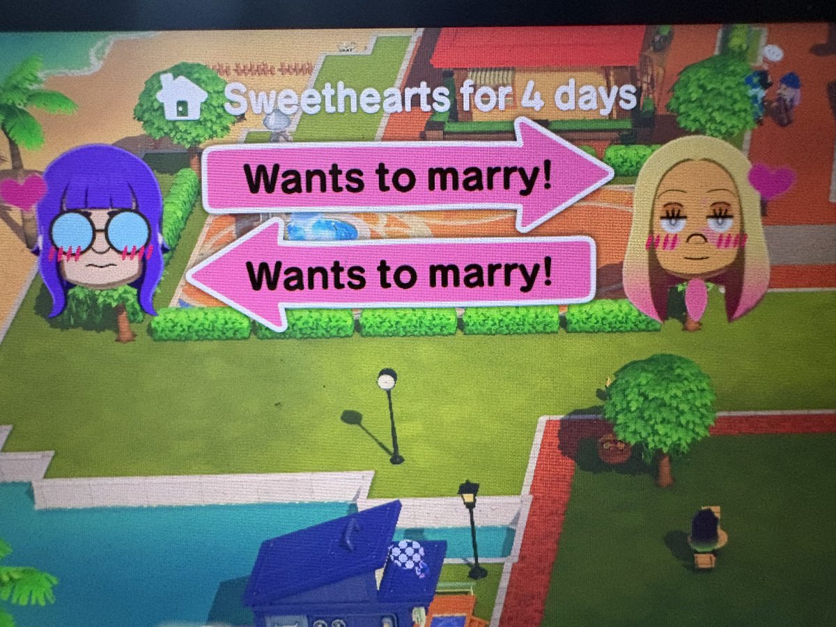 they live together and are dating but still have not gotten married which is a little surprising considering that miis i added after them are already married and having kids LMAO