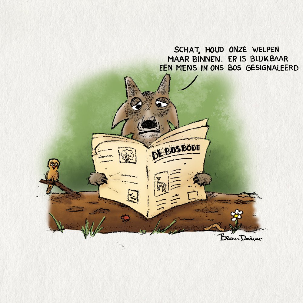 Bram Donker tekent weer volledig correct ♥️🙌.

Wolf pas op je welpen!

<a href="/BramDonker66317/">Bram Donker</a> 

Bekijk alle tekeningen hier:

wolvenutrecht.nl/wolf-bram-cart…