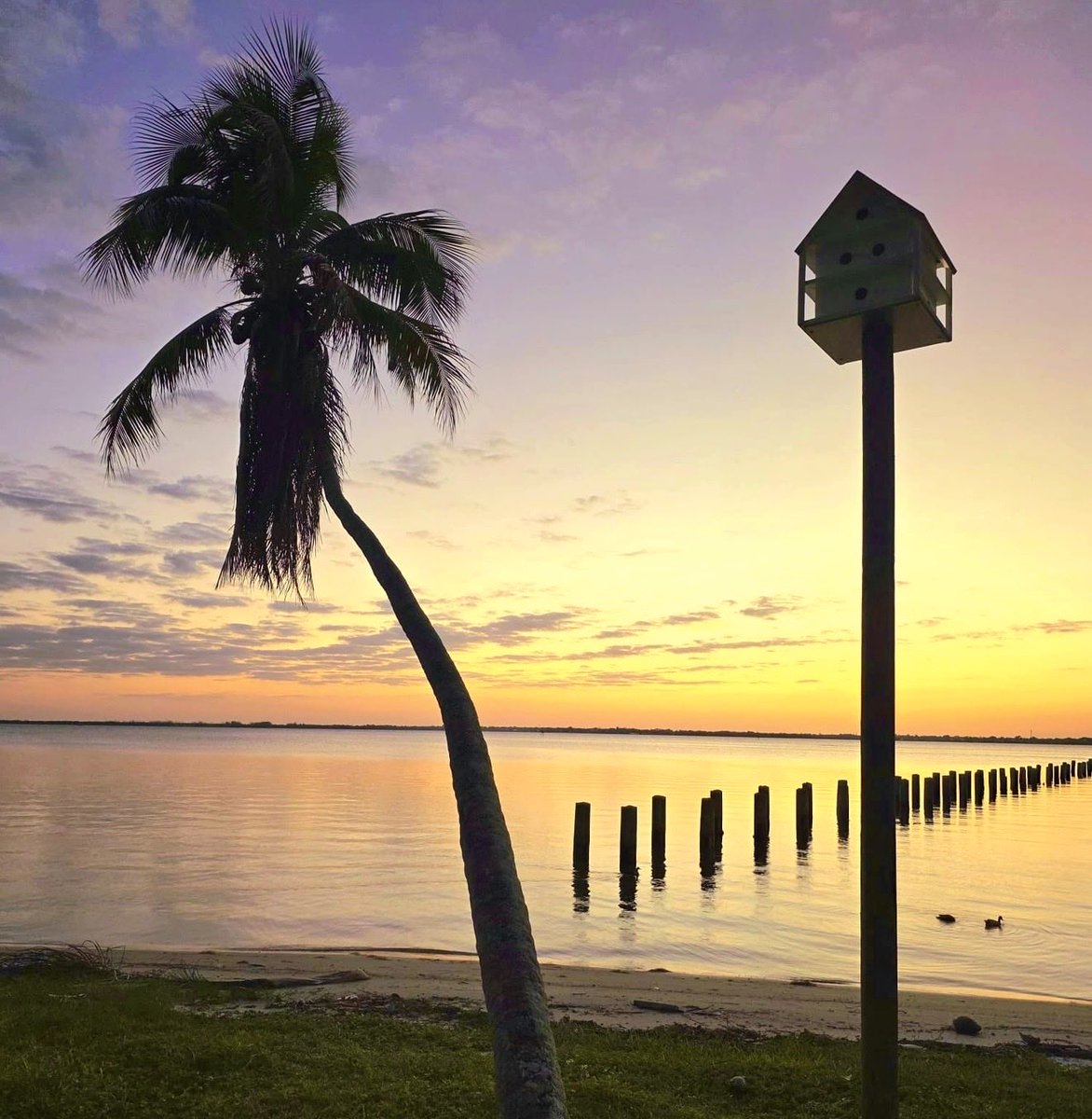 <a href="/SecretBalanceOC/">The Secret Balance of Champions</a> <a href="/Extopsporter/">Extopsporter.nl</a> <a href="/Stoppendoorgaan/">Stoppen&doorgaan</a> … visionary entrepreneur Bracken Darrell, the 43rd Governor of the State of Florida, Jeb Bush, and so many others pushing boundaries; including the pioneers behind Babcock Ranch and Robot of tvc_events. (3/4)