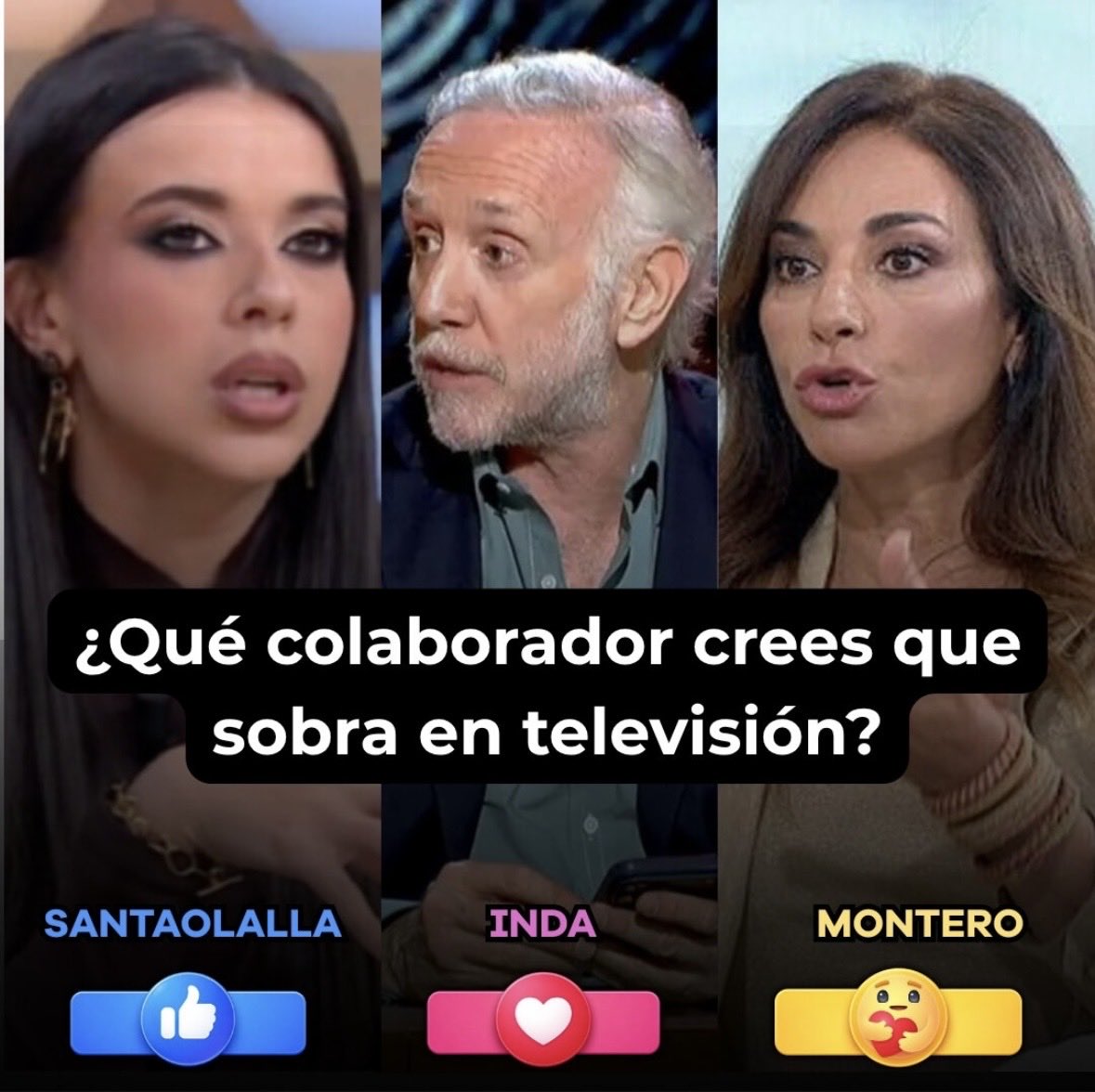 Bella tweet media