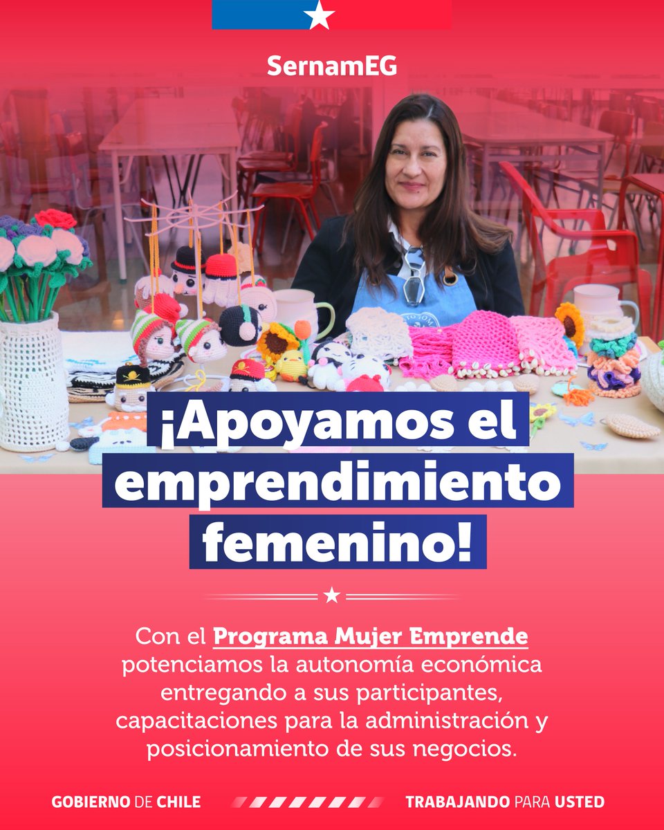 SernamEG Chile tweet media