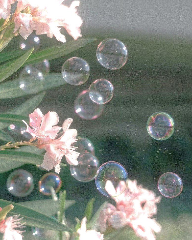 aesthetic tweet media