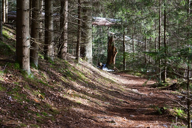 Madge Regina tweet media