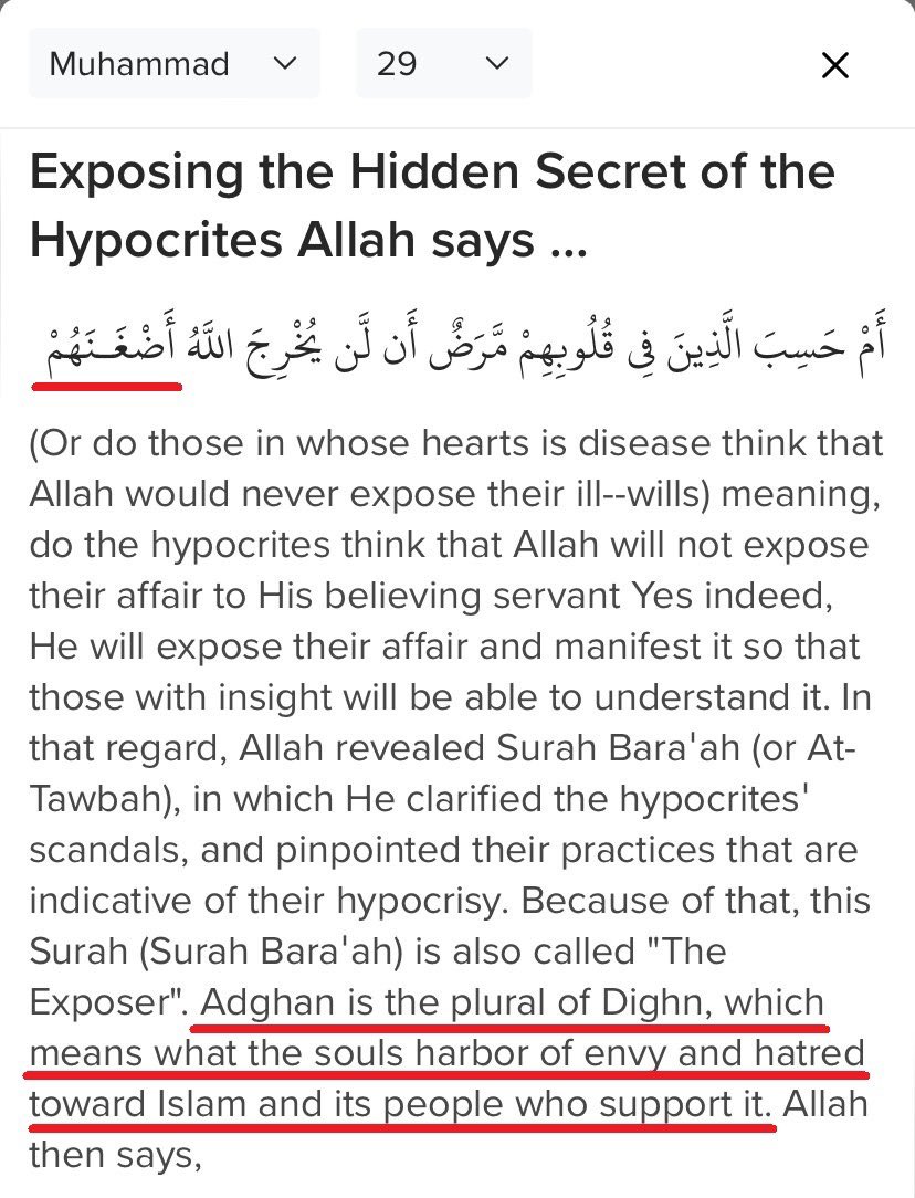 Journo Jet Dude tweet media