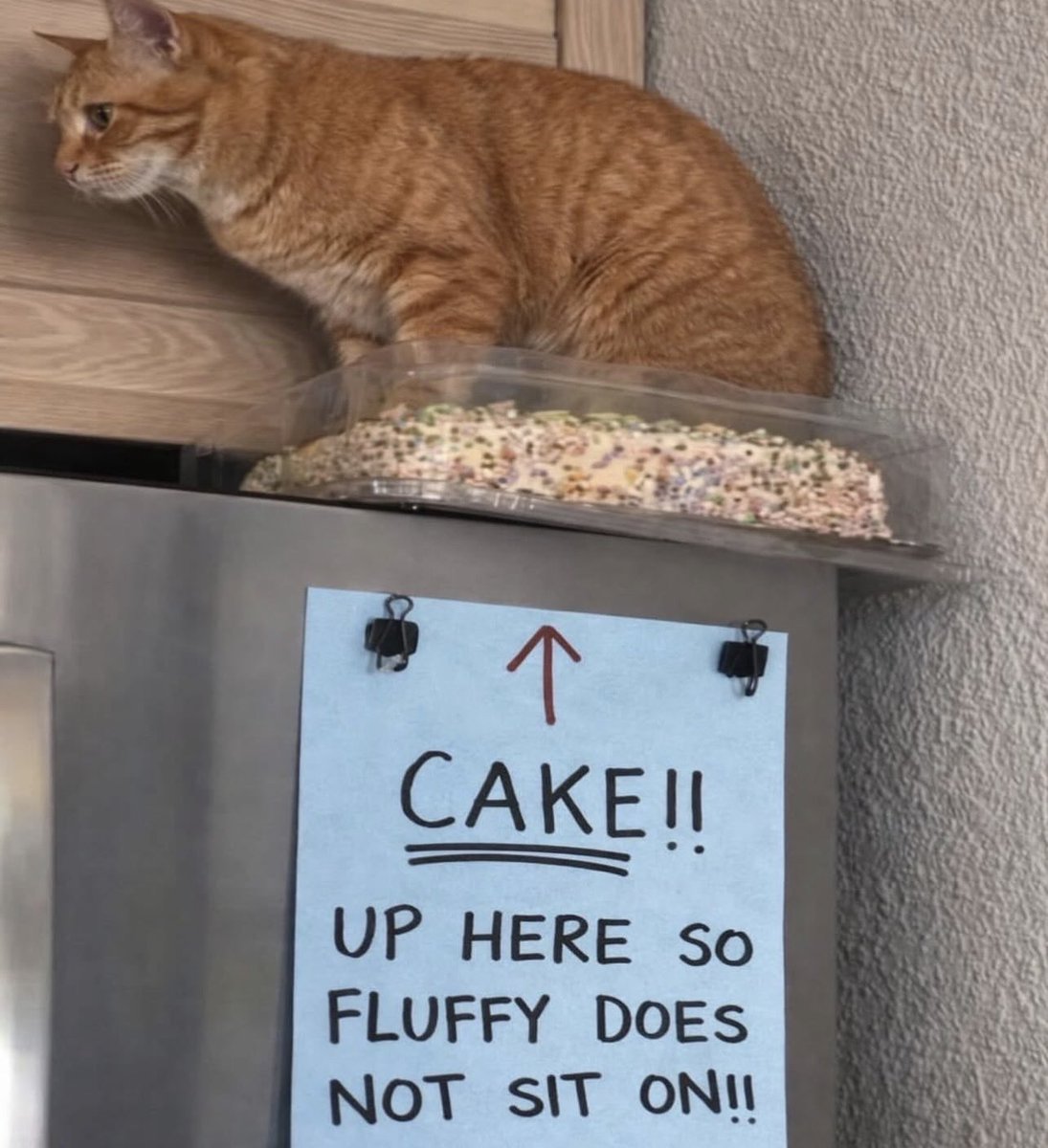 Dr. Veronica Corningstone™️🇺🇸 tweet media