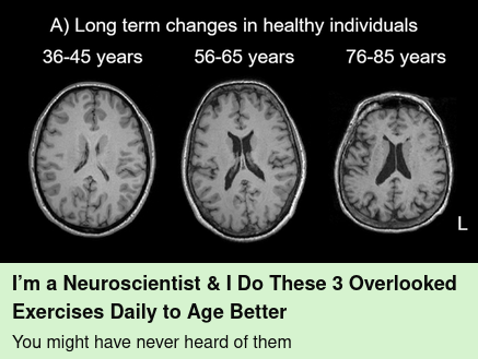 Dr. Patricia Schmidt 🧠 tweet media