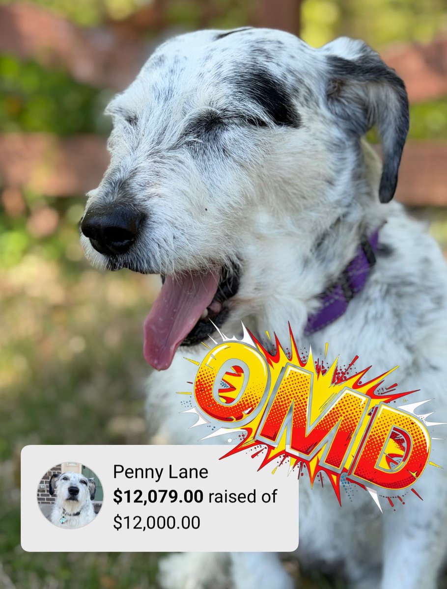 𝗣𝗲𝗻𝗻𝘆 𝗟𝗮𝗻𝗲- Lawn Potato TM tweet media