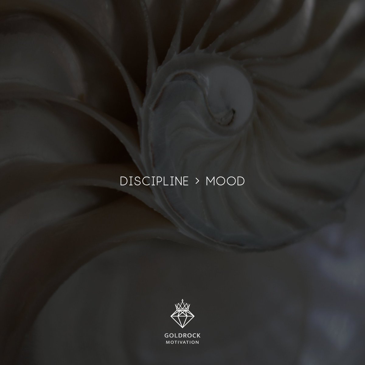 GoldrockM's tweet image. Discipline over mood.

#productivity
#mindset
#successmindset