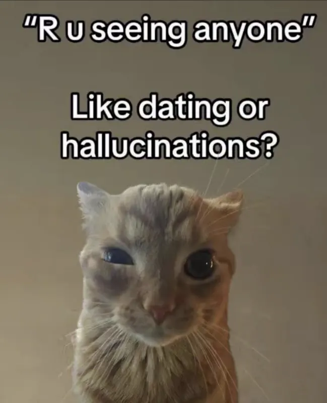 ella🌸 tweet media