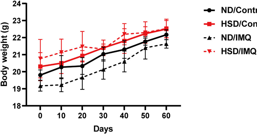 jidinnovations's tweet image. From the March 2026 issue: High-salt diet aggravates skin #inflammation of psoriasis-like mouse model with CCL20‒CCR6 axis further activation ow.ly/3Nq250YgEoI #Psoriasis #TranslationalResearch  #medderm #dermtwitter