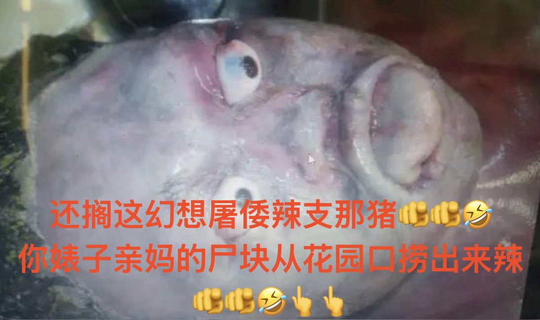 DXiaoping0408's tweet photo. @UC0834982884947 @destroyshina111 @AL2734256564962 @temur40053 🫵🫵🤣 https://t.co/tJ4v6X3TUN