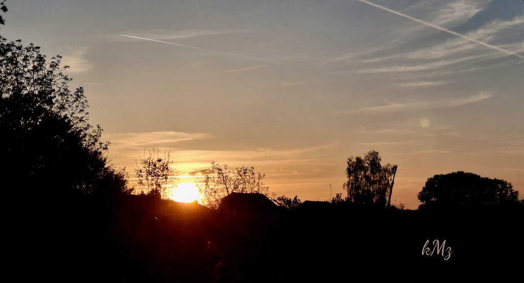 🌼🐿️ℳ𝒾𝒸𝒽ℯ𝓁𝓁ℯ 𝒩𝒶𝓉𝓊𝓇ℯ & 𝒯𝒽ℴ𝓊ℊ𝒽𝓉𝓈 ✒️ tweet media