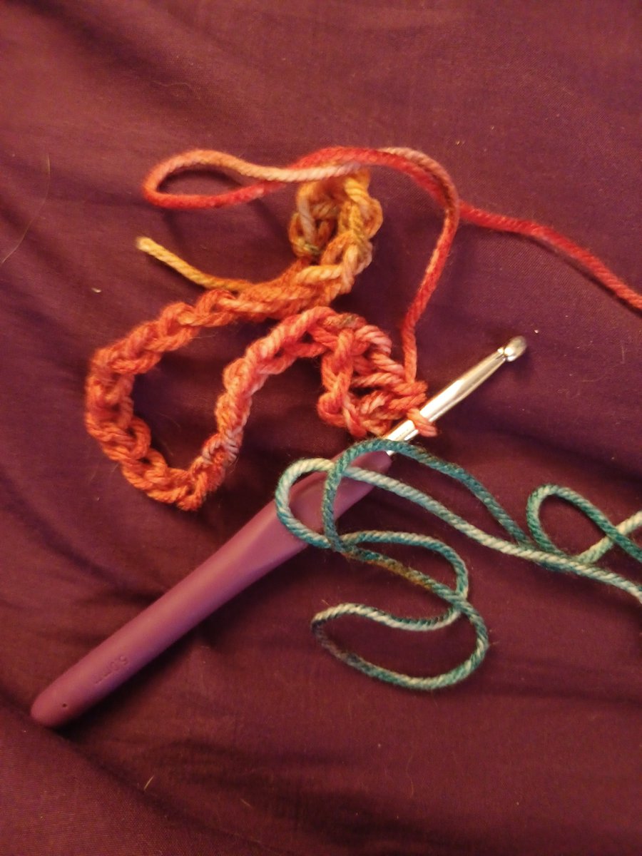 RAYbies needs to get high 🐾 tweet media