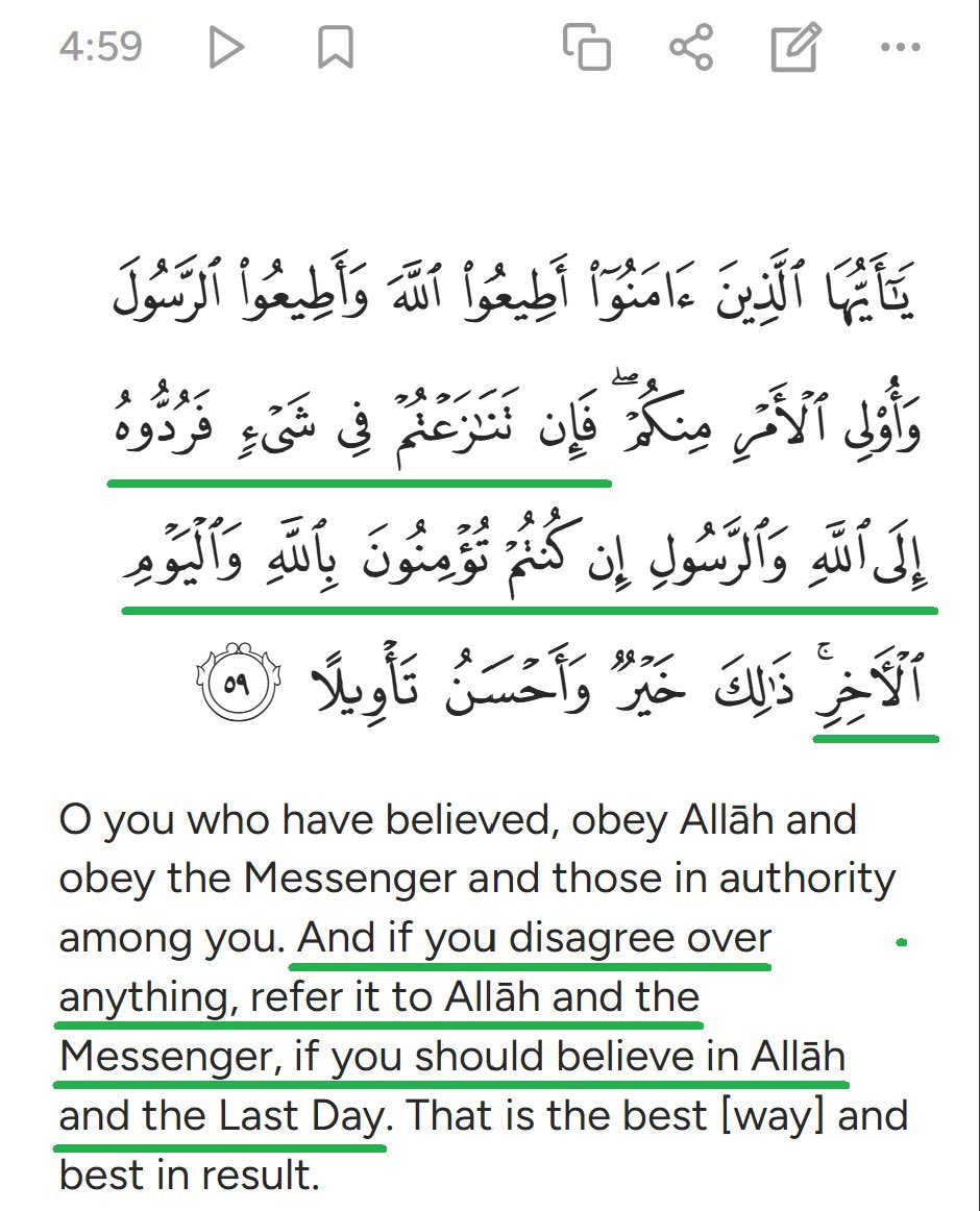 Journo Jet Dude tweet media