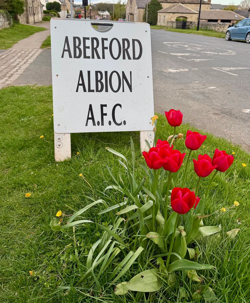 Hoppyontour's tweet image. #Aberford Albion 3–0 @howden_clough C
Ground 682
A strong, controlled performance from the hosts.
A brilliant setting to watch football. 
Non-league football at its finest.
#groundhopping