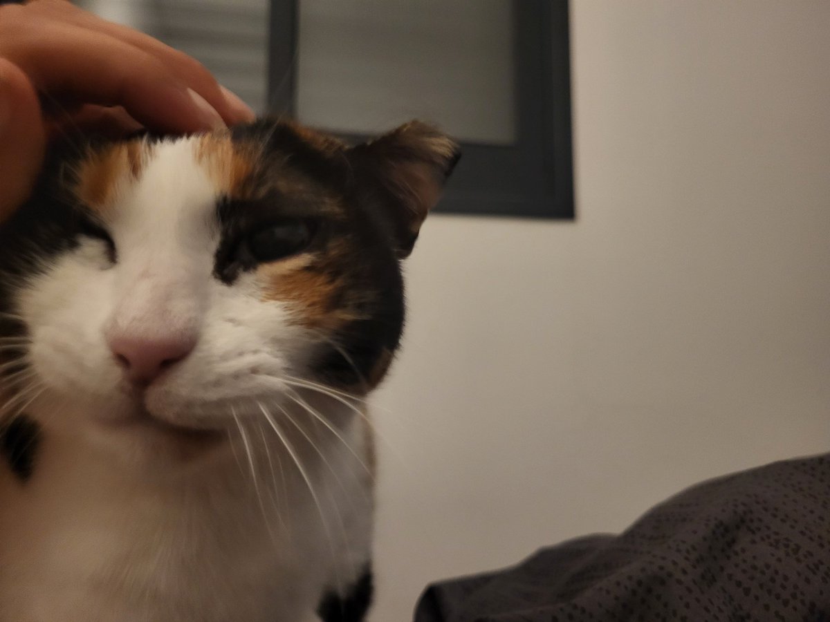 spaghetti_ts tweet media