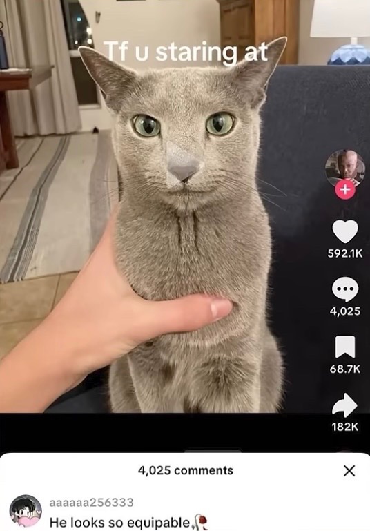 Homophobic Bryan tweet media