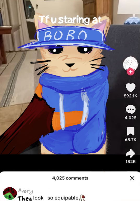 Homophobic Bryan tweet media