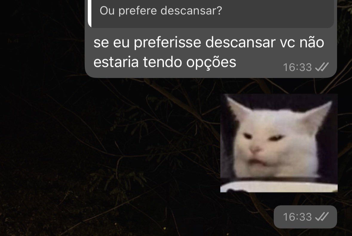 MELISSA 🐝 tweet media