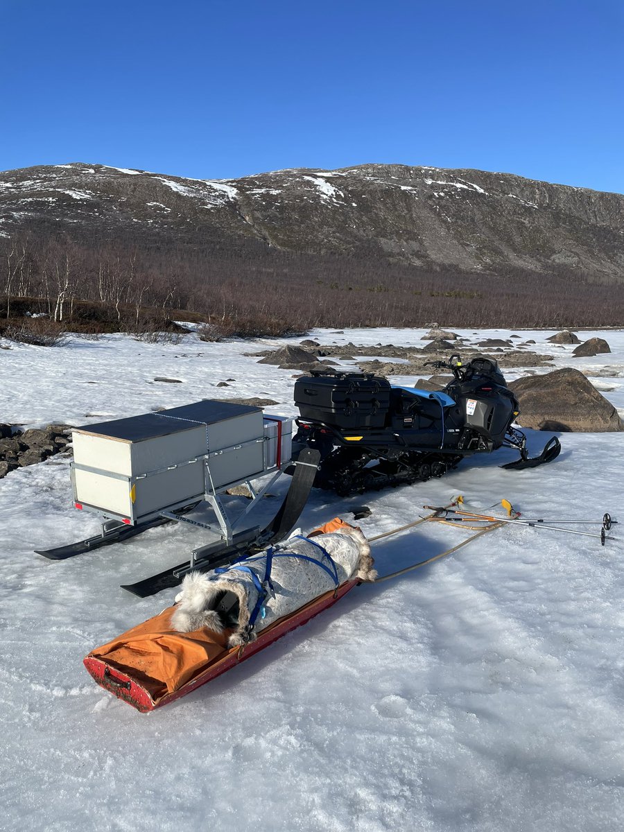 malmsten66's tweet photo. Dagens tur med skoter, omgruppering till pulka och snöskor men föret var dock borta så det blev att koppla på pannbenet, fisket var kanon så det gick som lätt hemåt😎👍🏼👍🏼.
#livetinorr https://t.co/SY24cWSPFL